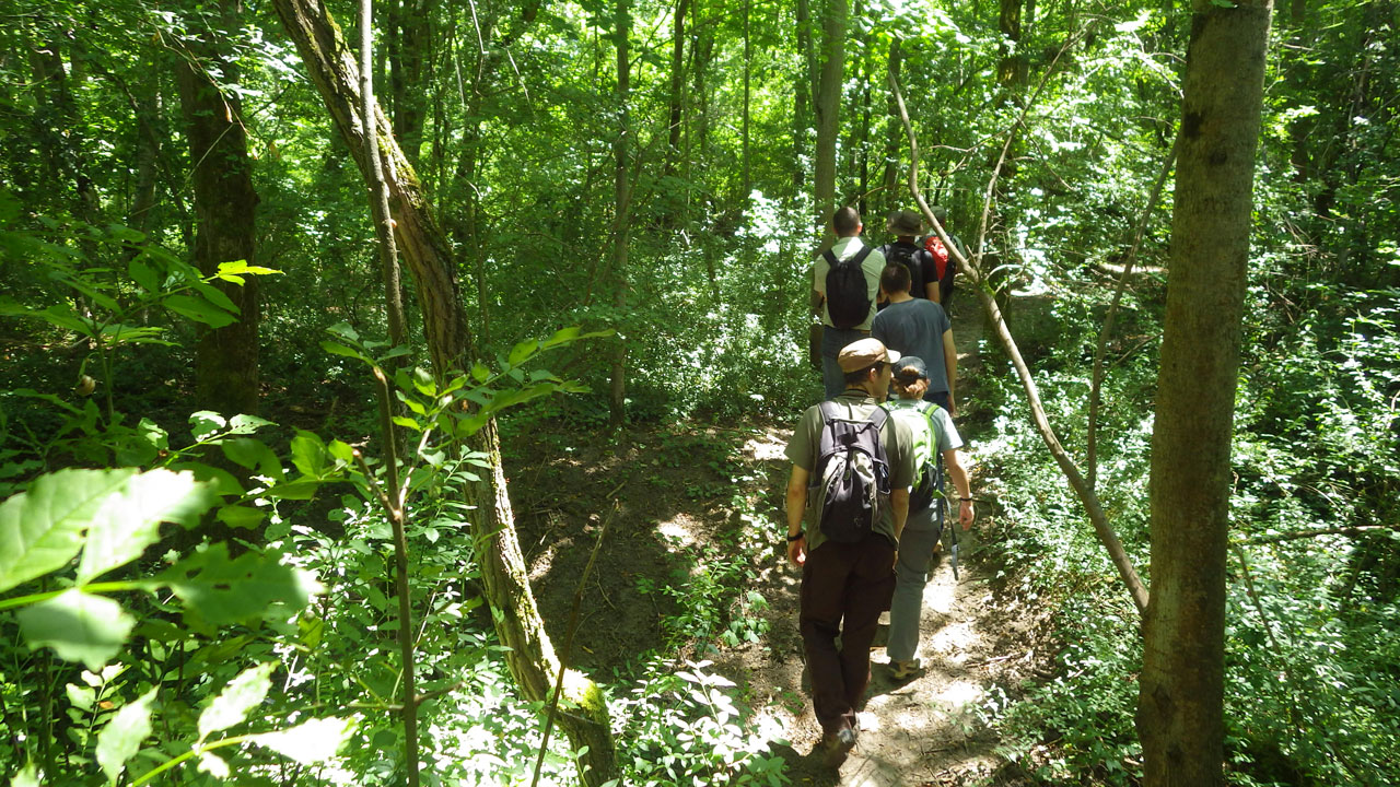 Visite_terrain_foret_RNN_Platiere_opti (1)